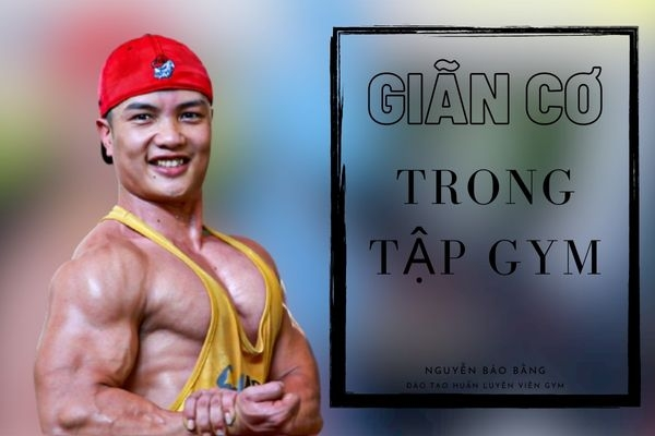 Giãn cơ trong tập gym? Hướng dẫn các bài tập giãn cơ tĩnh cơ bản nhưng vô cùng hiệu quả