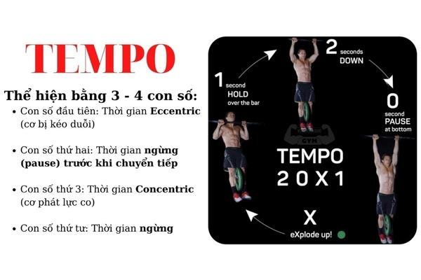 Tempo bài tập là gì?